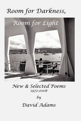 Book cover for Room for Darkness, Room for Light