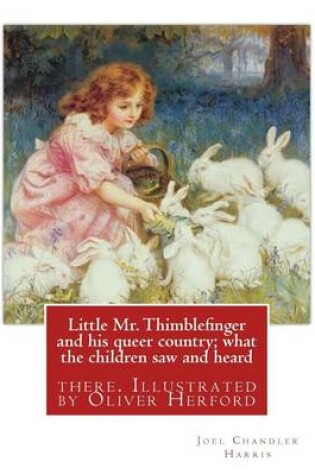 Cover of Little Mr. Thimblefinger and his queer country; what the children saw and heard