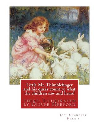Book cover for Little Mr. Thimblefinger and his queer country; what the children saw and heard