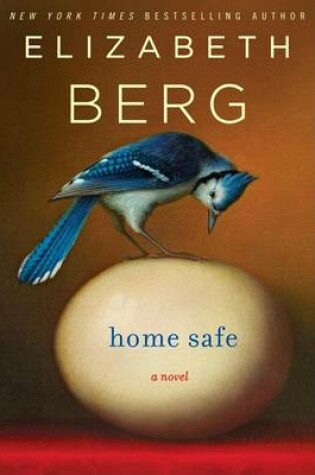 Cover of Home Safe