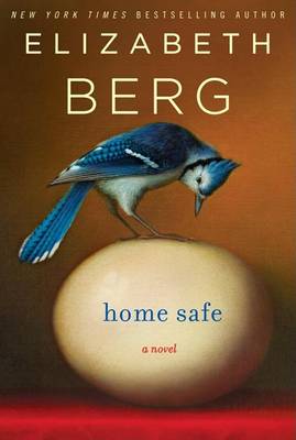 Book cover for Home Safe