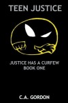 Book cover for Teen Justice