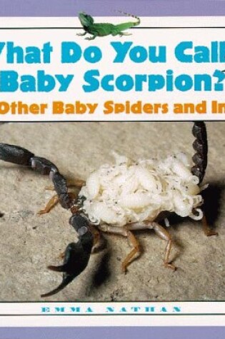 Cover of What Do You Call a Baby Scorpion?