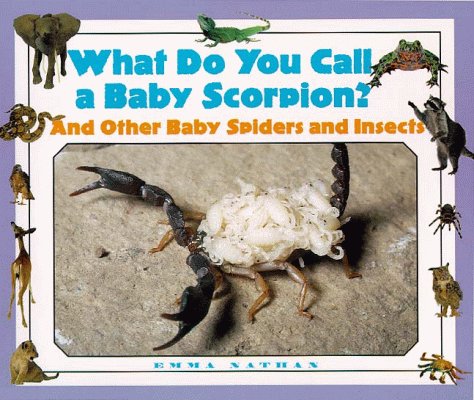 Cover of What Do You Call a Baby Scorpion?