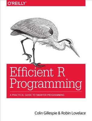 Book cover for Efficient R Programming