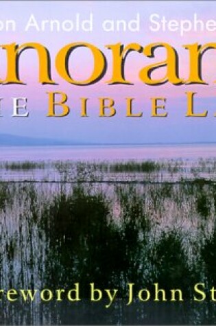 Cover of A Panorama of the Bible Lands