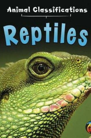 Cover of Reptiles (Animal Classifications)