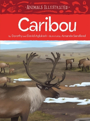 Book cover for Animals Illustrated: Caribou