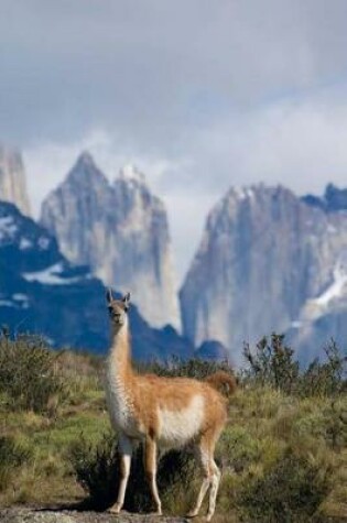 Cover of Guanaco Journal