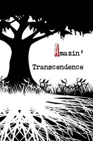 Cover of Amazin' Transcendence