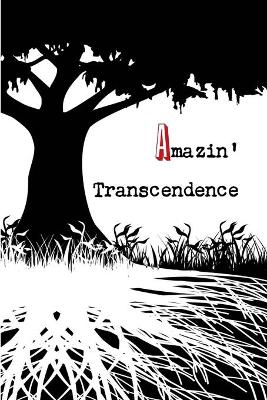 Book cover for Amazin' Transcendence