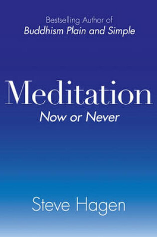 Cover of Meditation Now or Never