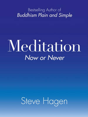 Book cover for Meditation Now or Never