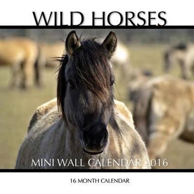 Book cover for Wild Horses Mini Wall Calendar 2016 16 Month Calendar