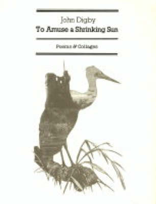 Book cover for To Amuse a Shrinking Sun