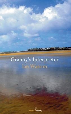 Book cover for Granny's Interpreter