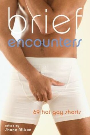 Cover of Brief Encounters