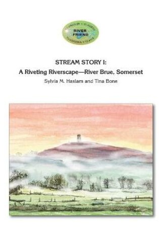 Cover of Stream Story I