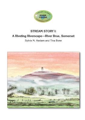 Cover of Stream Story I