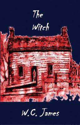 Book cover for The Witch