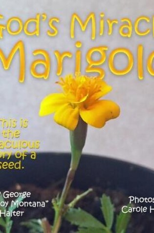 Cover of God's Miracle Marigold