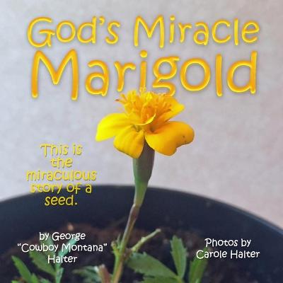 Book cover for God's Miracle Marigold