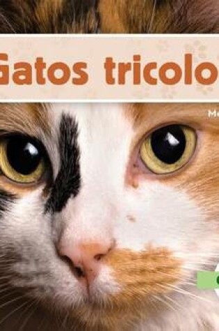 Cover of Gatos Tricolor (Calico Cats) (Spanish Version)