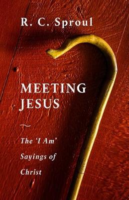 Book cover for Meeting Jesus