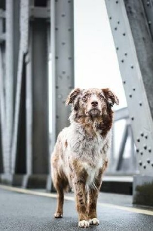 Cover of Brown and White Spotted Dog Journal