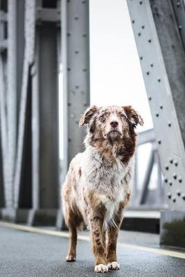 Book cover for Brown and White Spotted Dog Journal