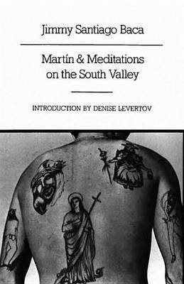 Book cover for Martín and Meditations on the South Valley