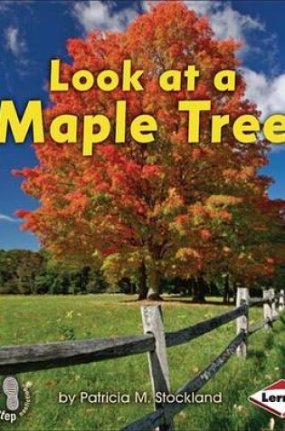 Cover of Look at a Maple Tree