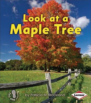 Cover of Look at a Maple Tree
