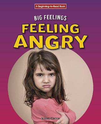 Book cover for Feeling Angry