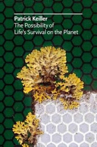 Cover of Possibility of Life's Survival