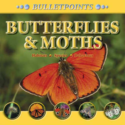 Book cover for Butterflies and Moths