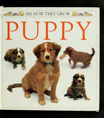 Book cover for Burton Jane : See How They Grow: Puppy (Hbk)