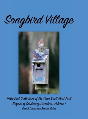 Book cover for Songbird Village