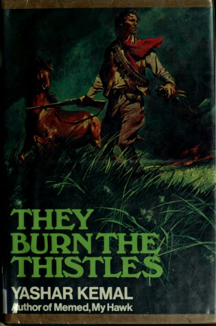 Cover of They Burn the Thistles