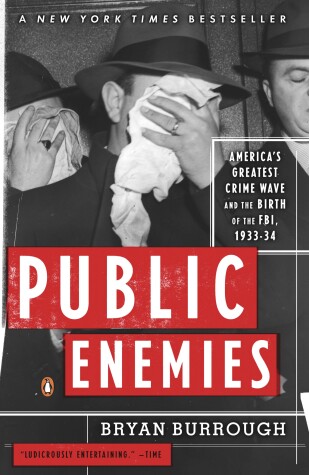 Book cover for Public Enemies