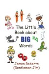 Book cover for The Little Book About BIG words #4