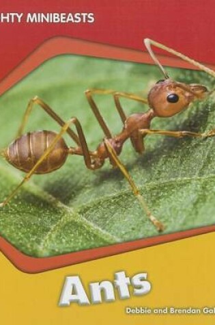 Cover of Us Myl Mmb Ants (Mc)