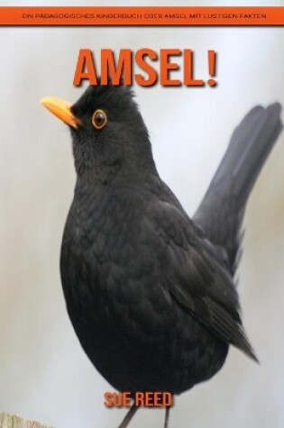 Cover of Amsel! Ein pädagogisches Kinderbuch über Amsel mit lustigen Fakten