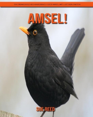 Cover of Amsel! Ein pädagogisches Kinderbuch über Amsel mit lustigen Fakten