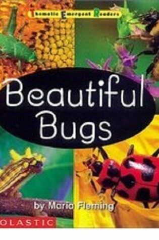 Cover of Beautiful Bugs