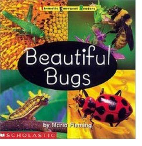 Cover of Beautiful Bugs