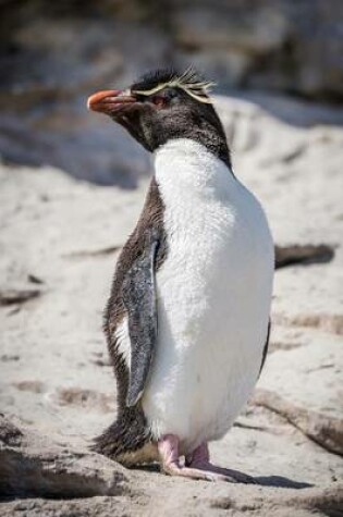 Cover of Rockhopper Penguin Striking a Pose Journal