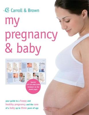 Book cover for My Pregnancy and Baby