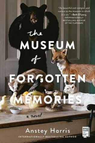 Cover of The Museum of Forgotten Memories