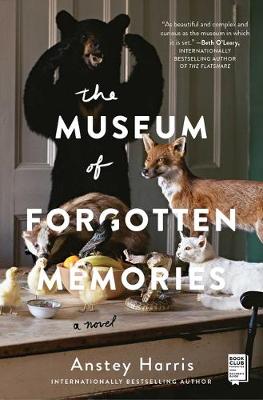 Book cover for The Museum of Forgotten Memories
